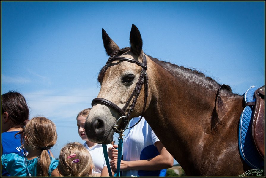 Mounted Games 146